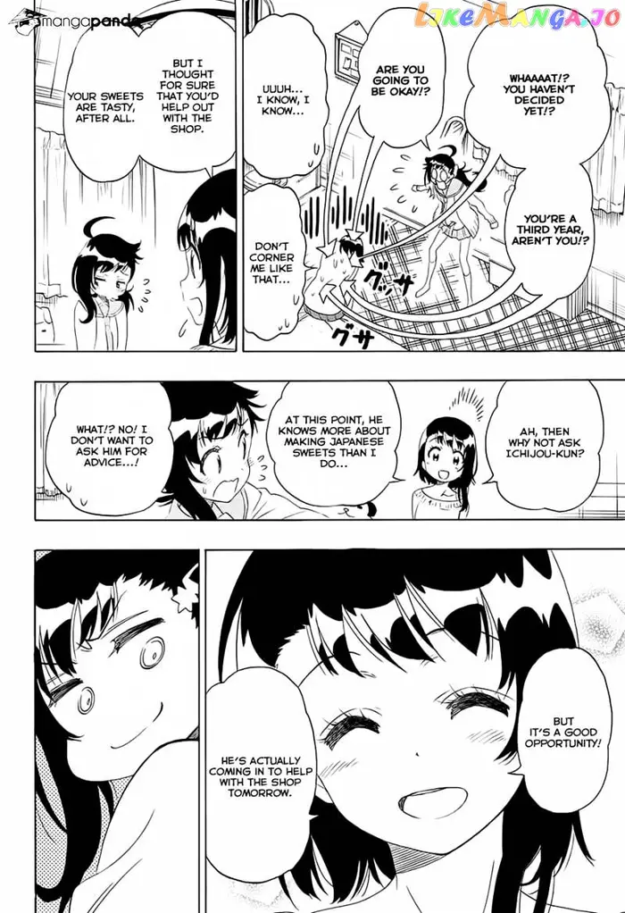 Nisekoi Chapter 201 image 11_optimized
